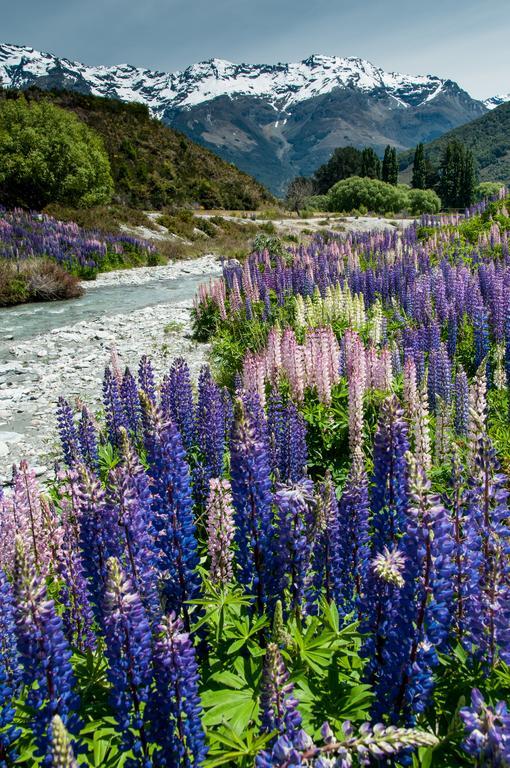 Glenorchy Peaks Bed And Breakfast Экстерьер фото